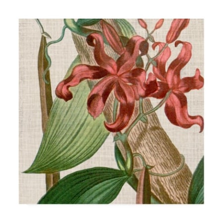 Vision Studio 'Cropped Turpin Tropicals Ix' Canvas Art,14x14